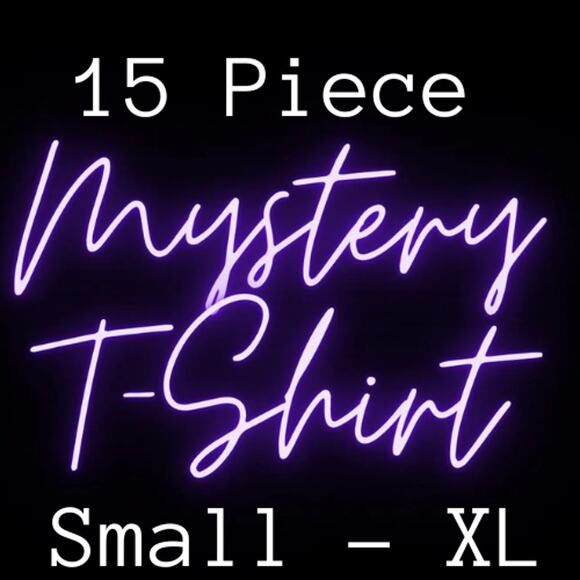 15 Piece Mystery T-Shirt Bundle Sizes Small to XL - Picture 1 of 5
